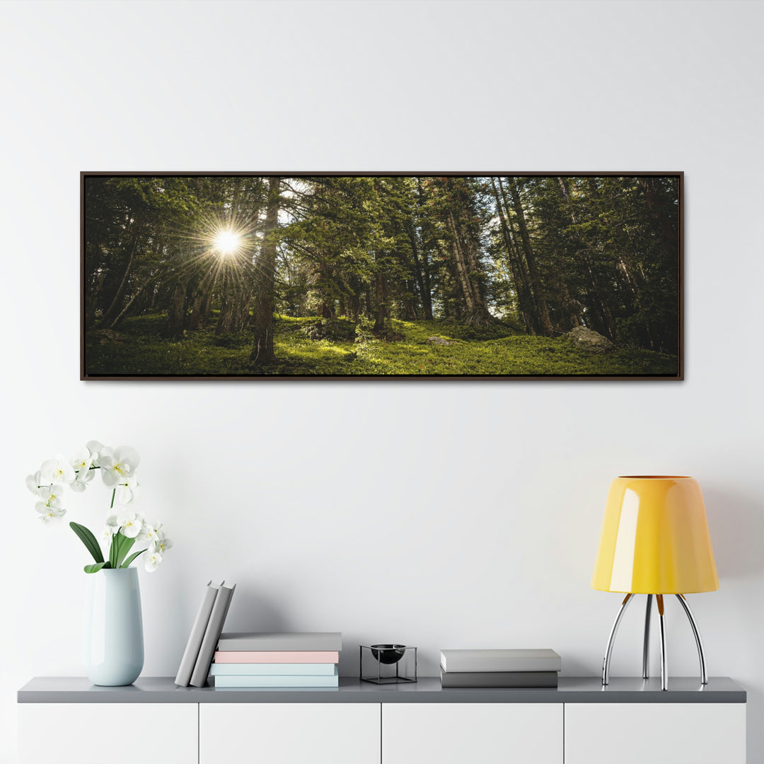 Forest Light - Canvas with Frame