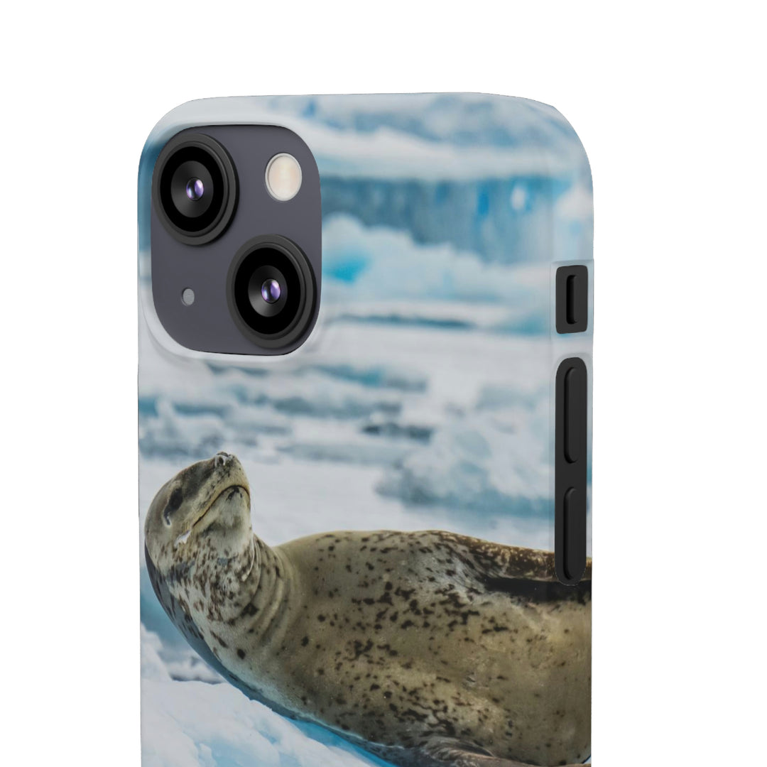 Leopard Seal Relaxing - Phone Case