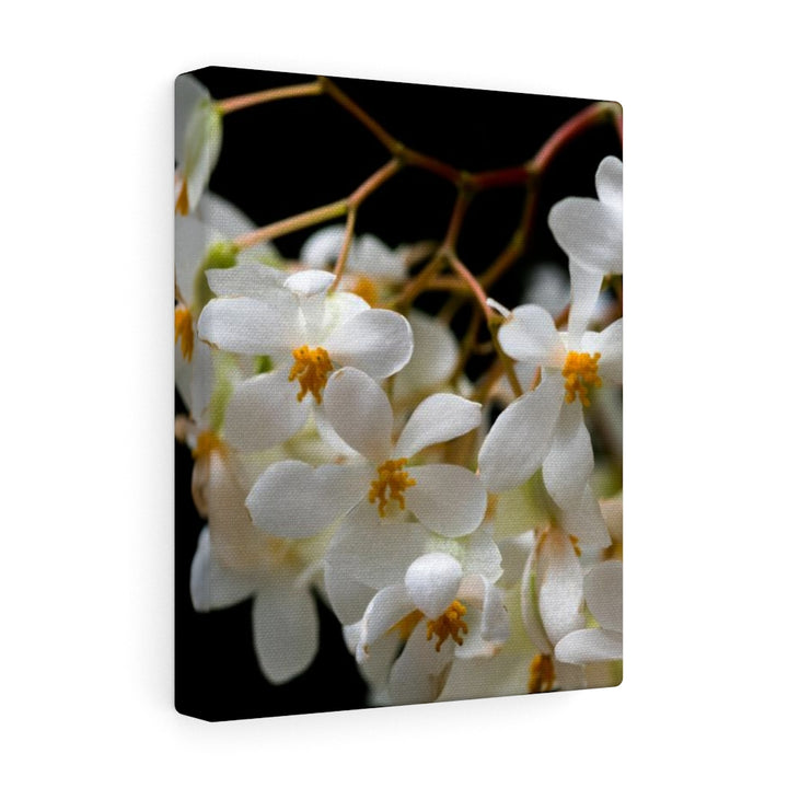 Floral Network - Canvas