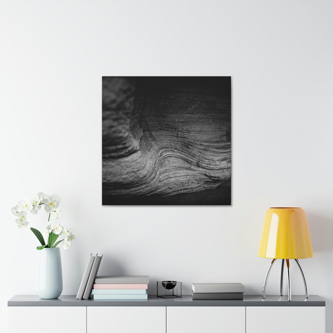 Sedimentary Rock Curves in Black and White - Canvas