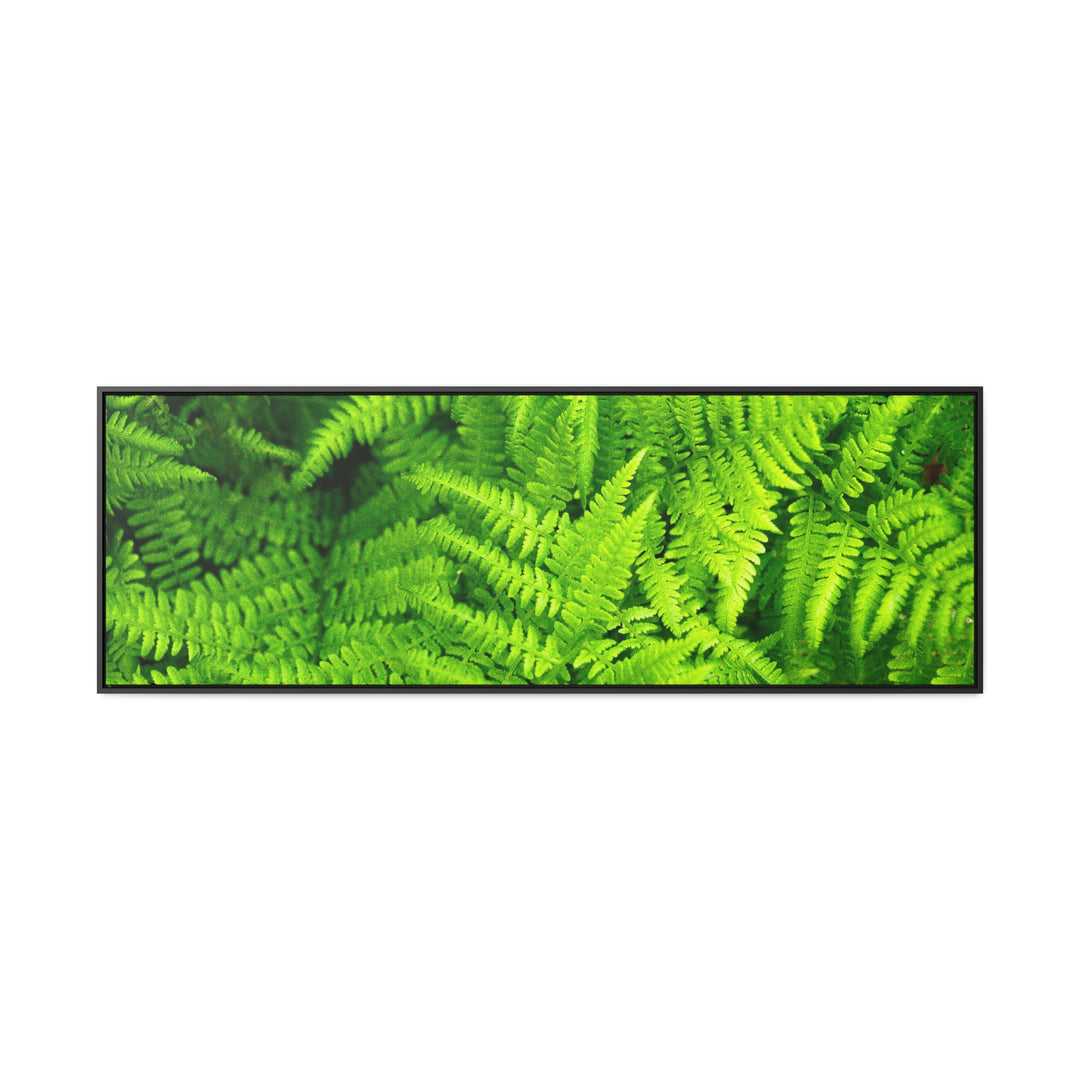 Ferns, Ferns, Ferns - Canvas with Frame