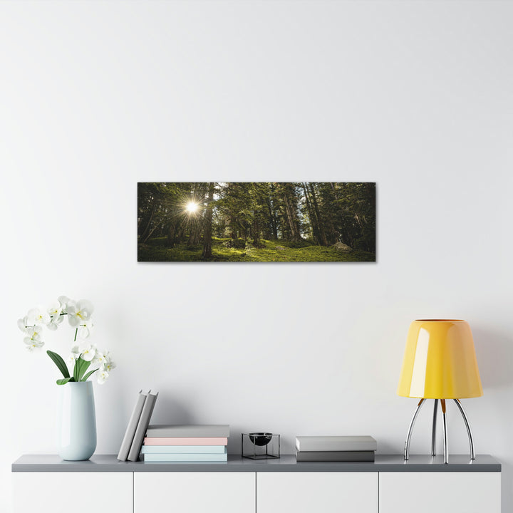 Forest Light - Canvas