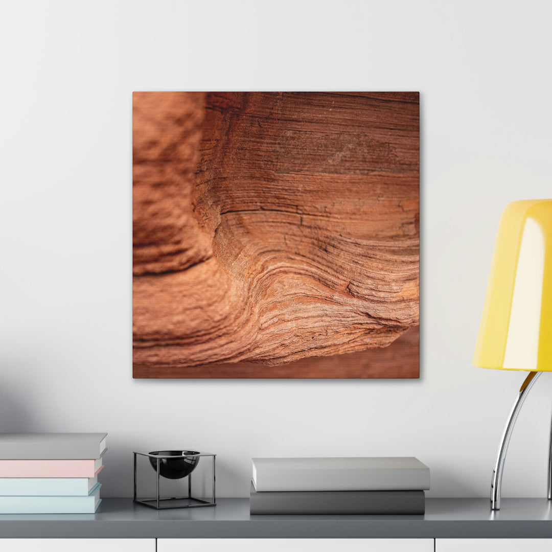 Sedimentary Rock Curves - Canvas