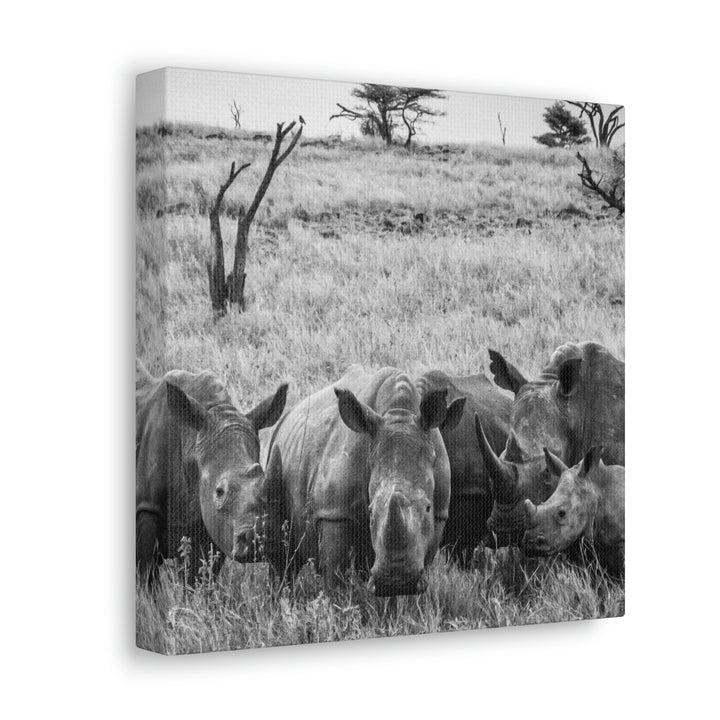 Rhino Family in Black and White - Canvas