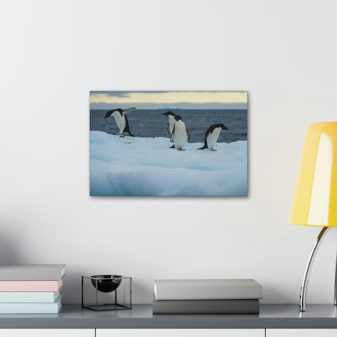 Penguin Dance - Canvas