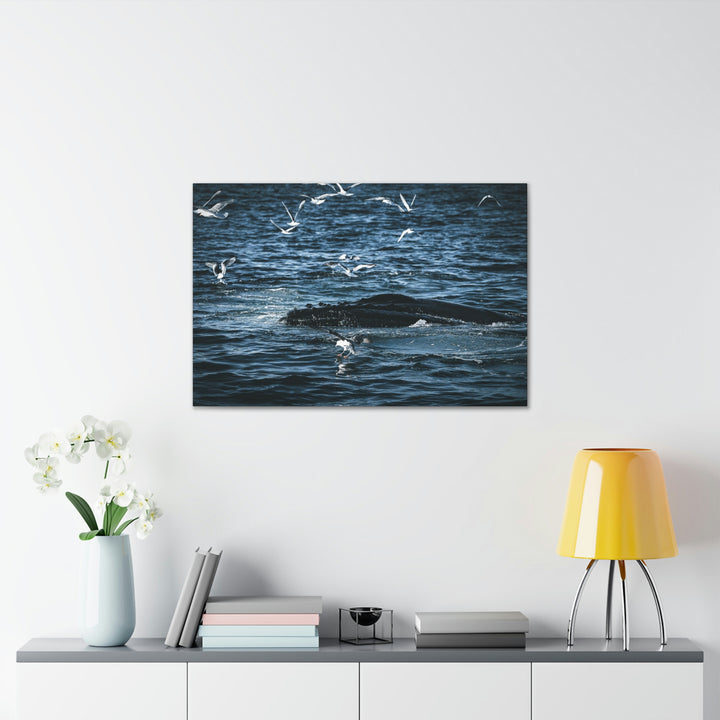 Humpback Hello - Canvas