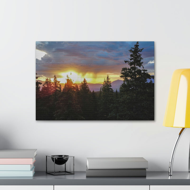 Rainy Sunset Through the Trees - Canvas