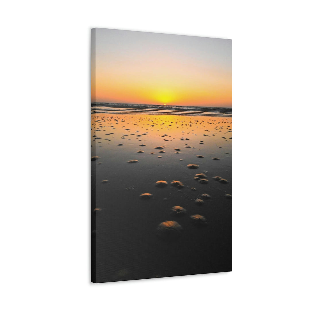 Burrows at Sunrise - Canvas