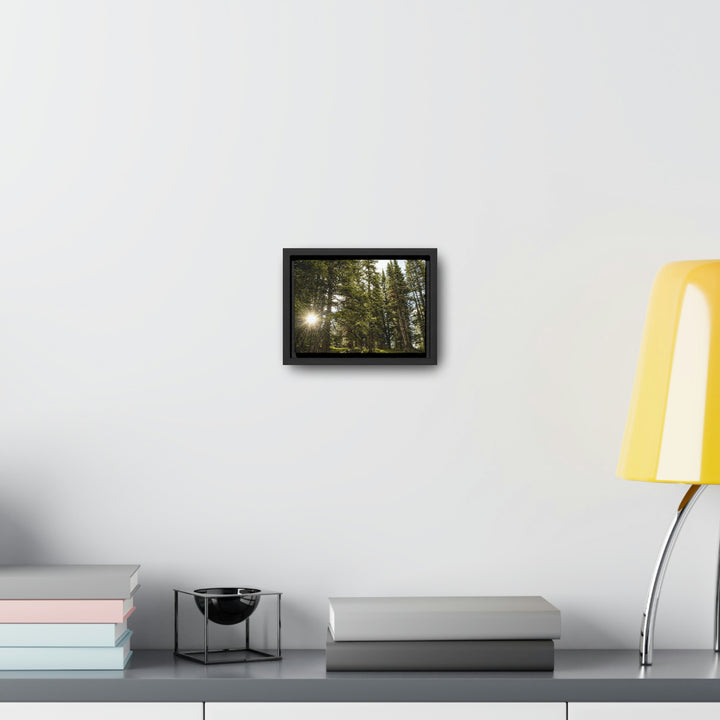 Forest Light - Canvas with Frame