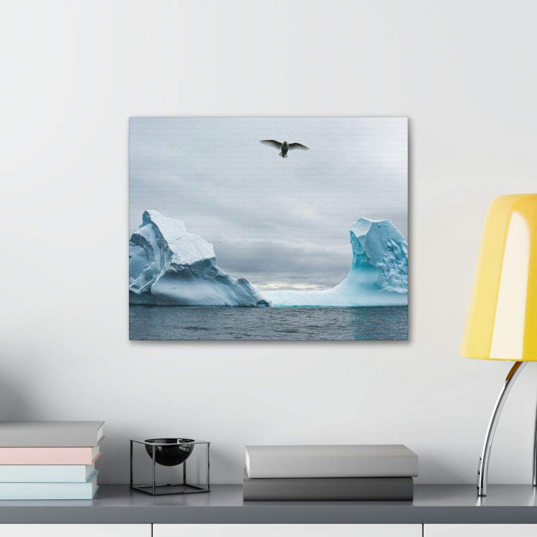 Antarctic Flight - Canvas