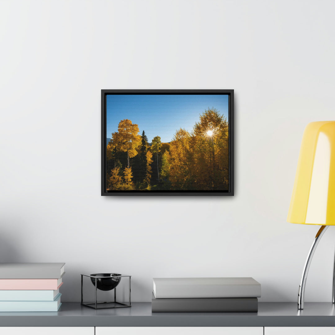 Sun Through the Aspens - Canvas with Frame