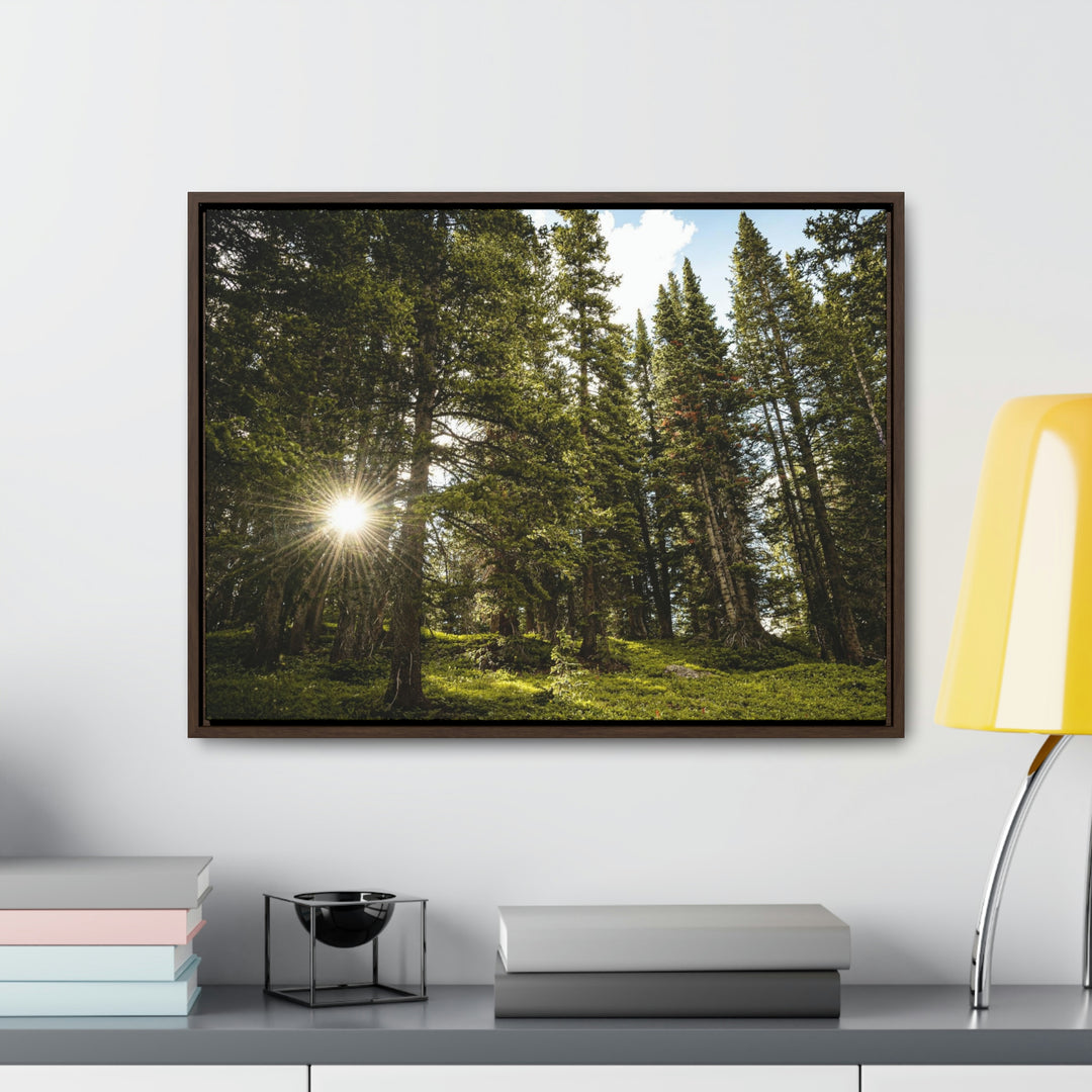 Forest Light - Canvas with Frame