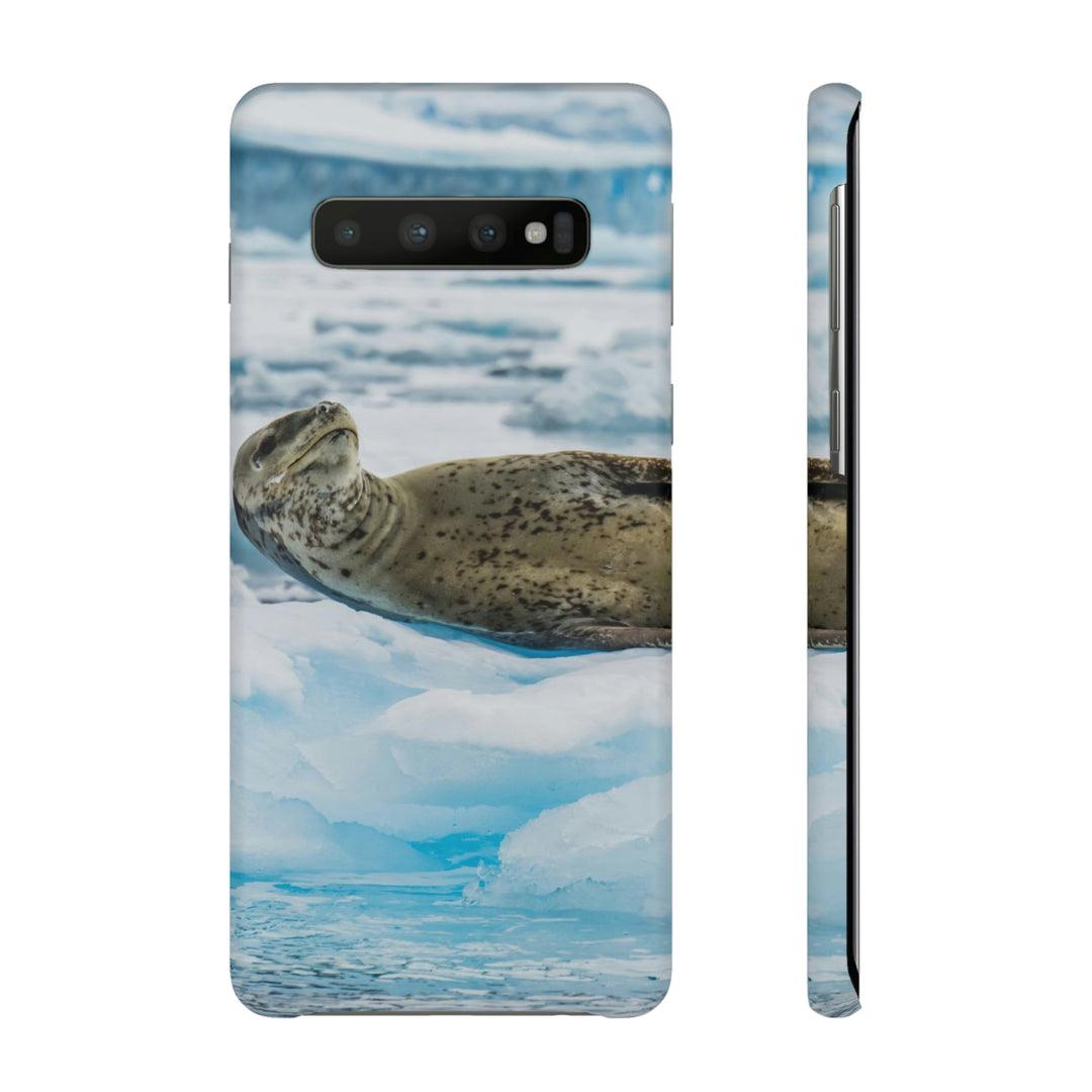 Leopard Seal Relaxing - Phone Case