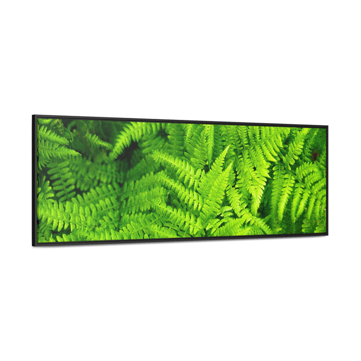 Ferns, Ferns, Ferns - Canvas with Frame