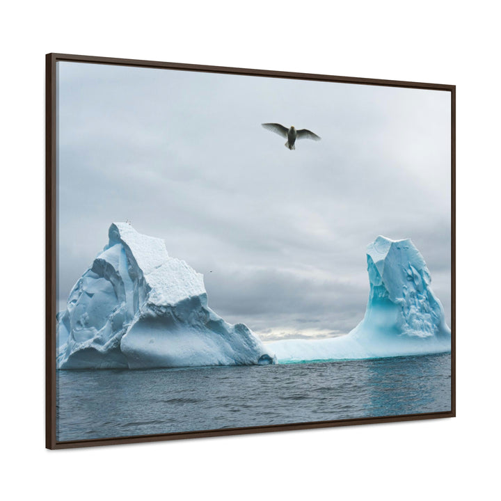 Antarctic Flight - Canvas with Frame