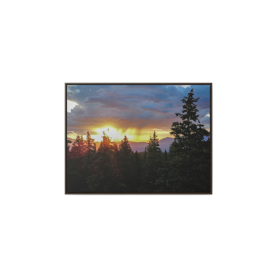 Rainy Sunset Through the Trees - Canvas with Frame