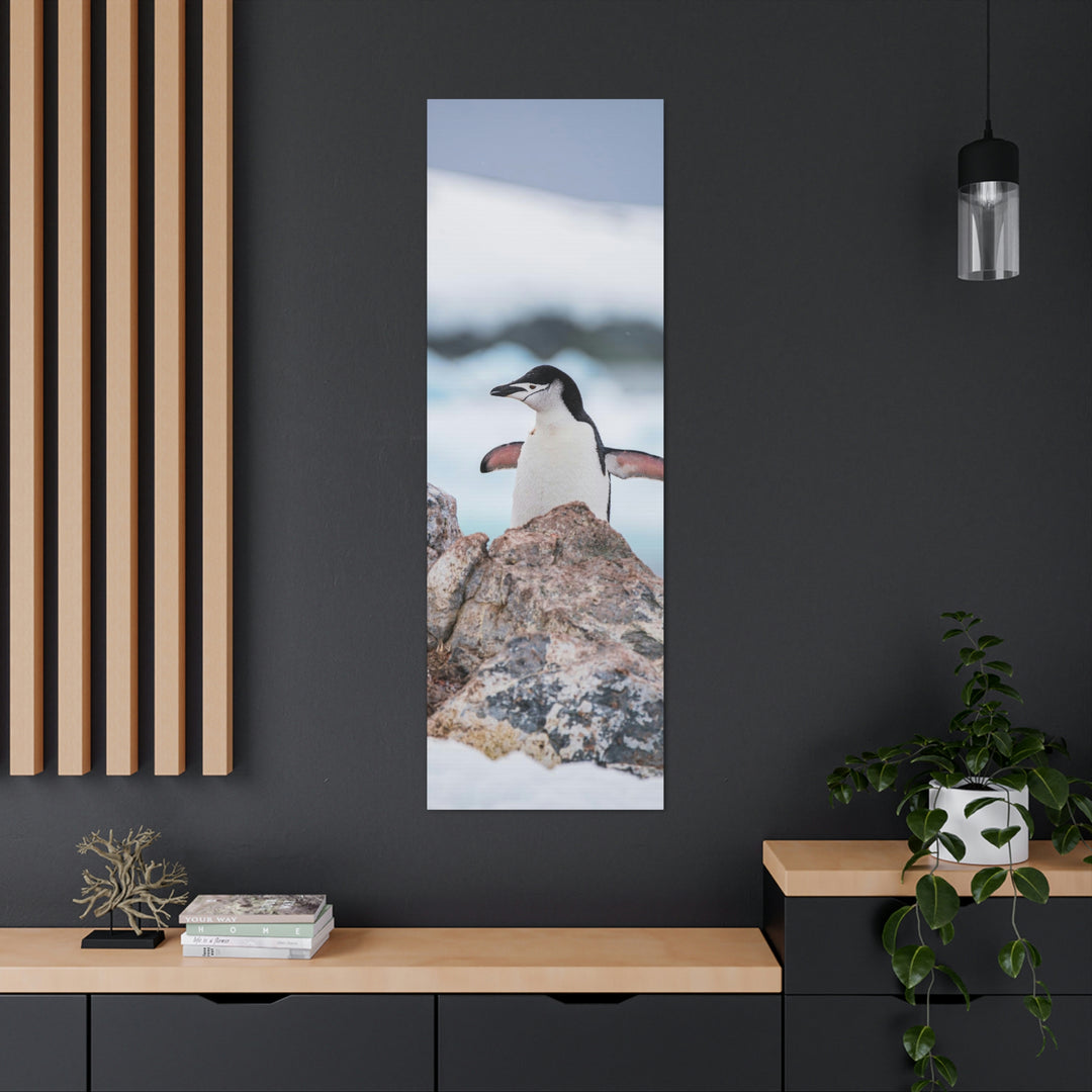 Stretched Penguin - Canvas