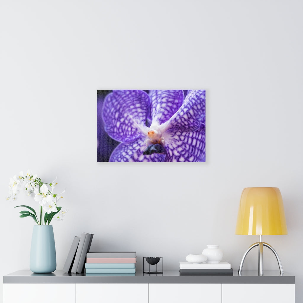 Orchid Detail - Canvas