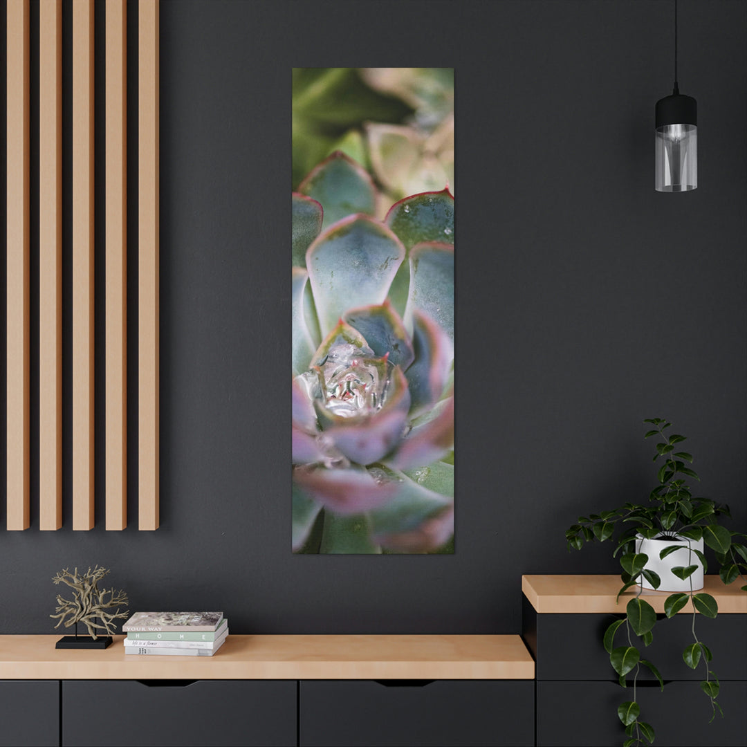 Stunning Succulent - Canvas