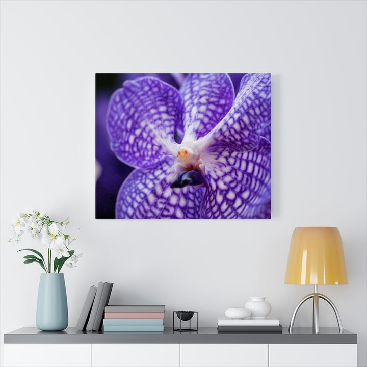 Orchid Detail - Canvas