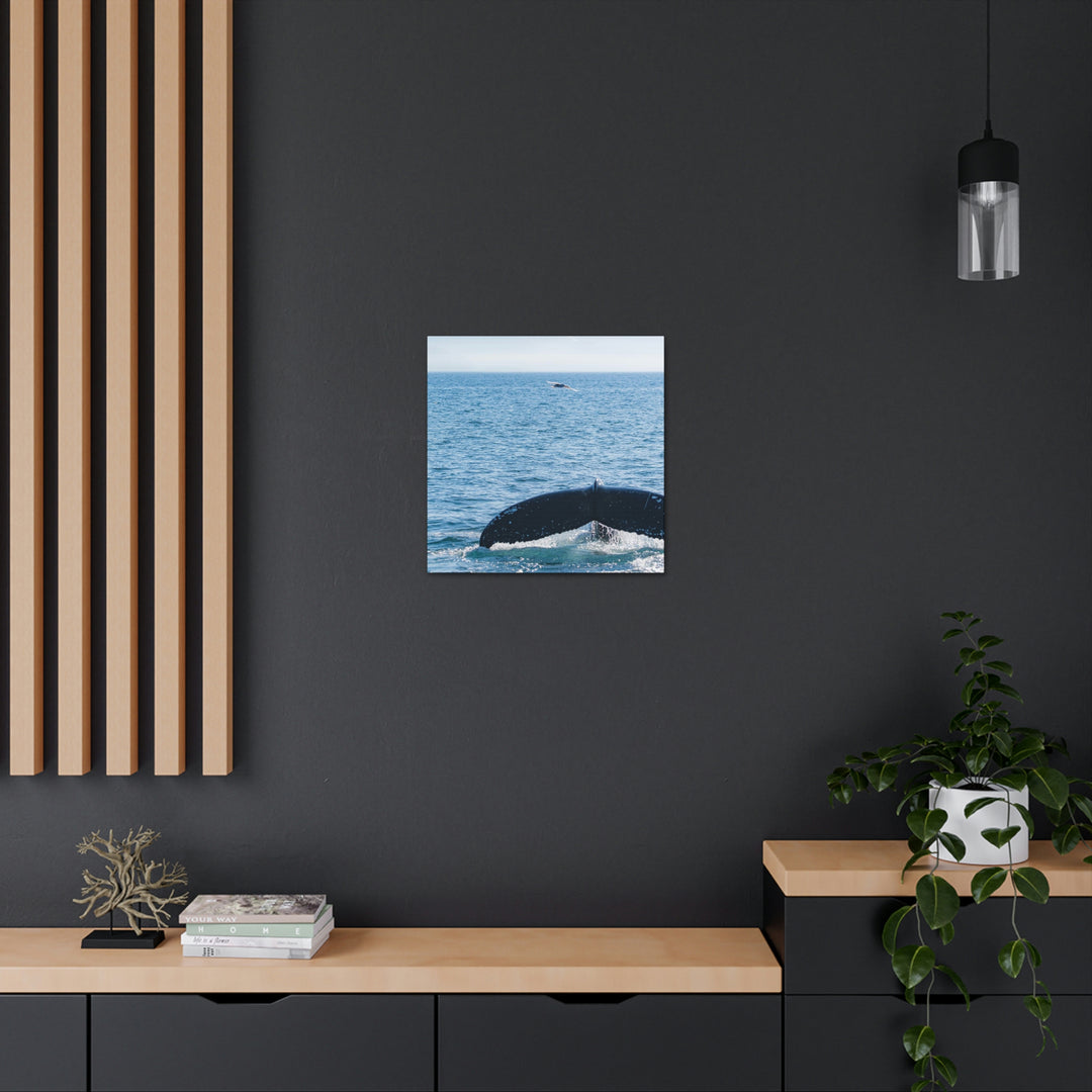 A Whale and A Mountain - Canvas