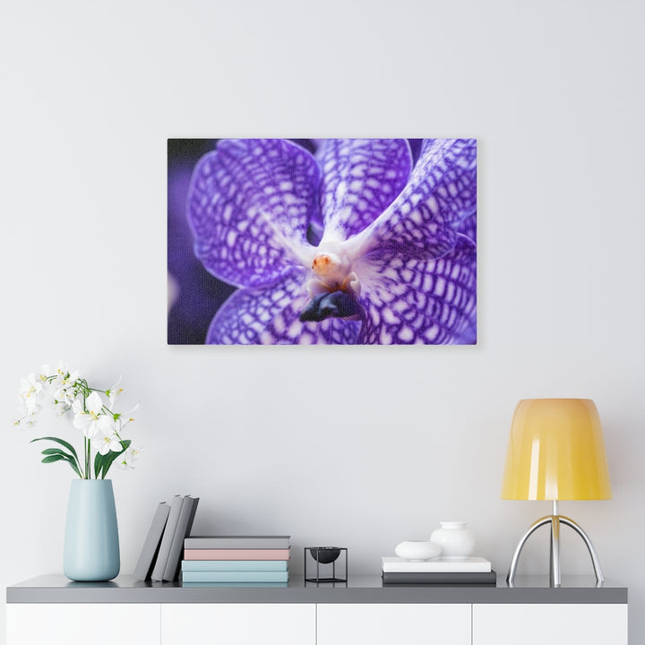 Orchid Detail - Canvas