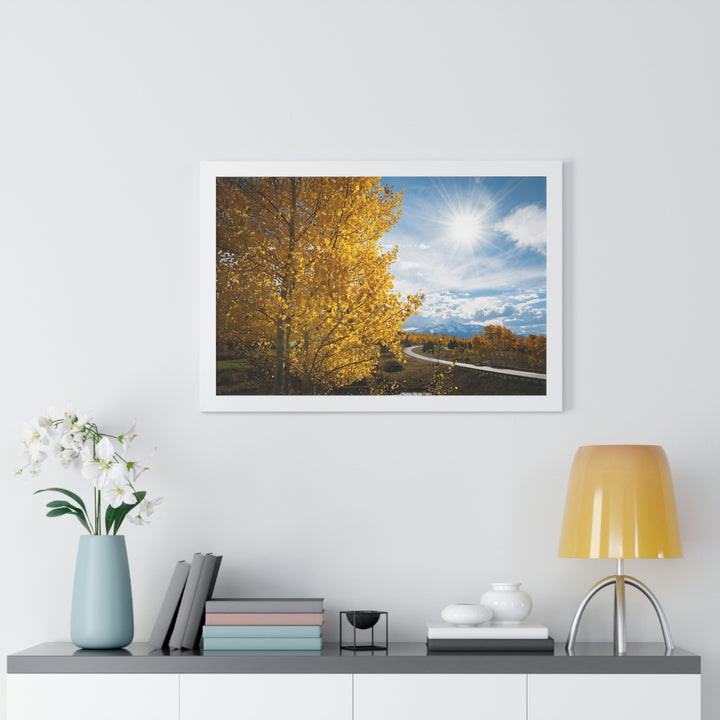 Golden Sunshine - Framed Print