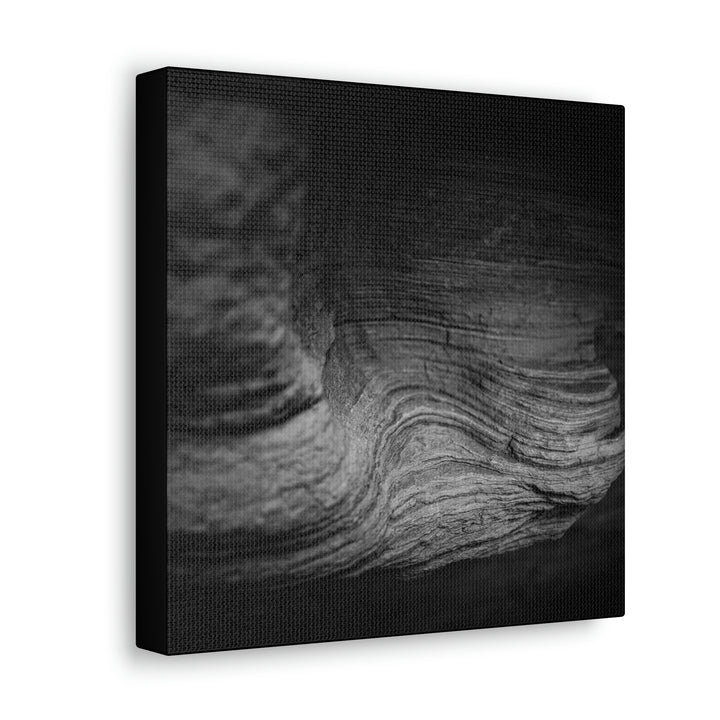 Sedimentary Rock Curves in Black and White - Canvas