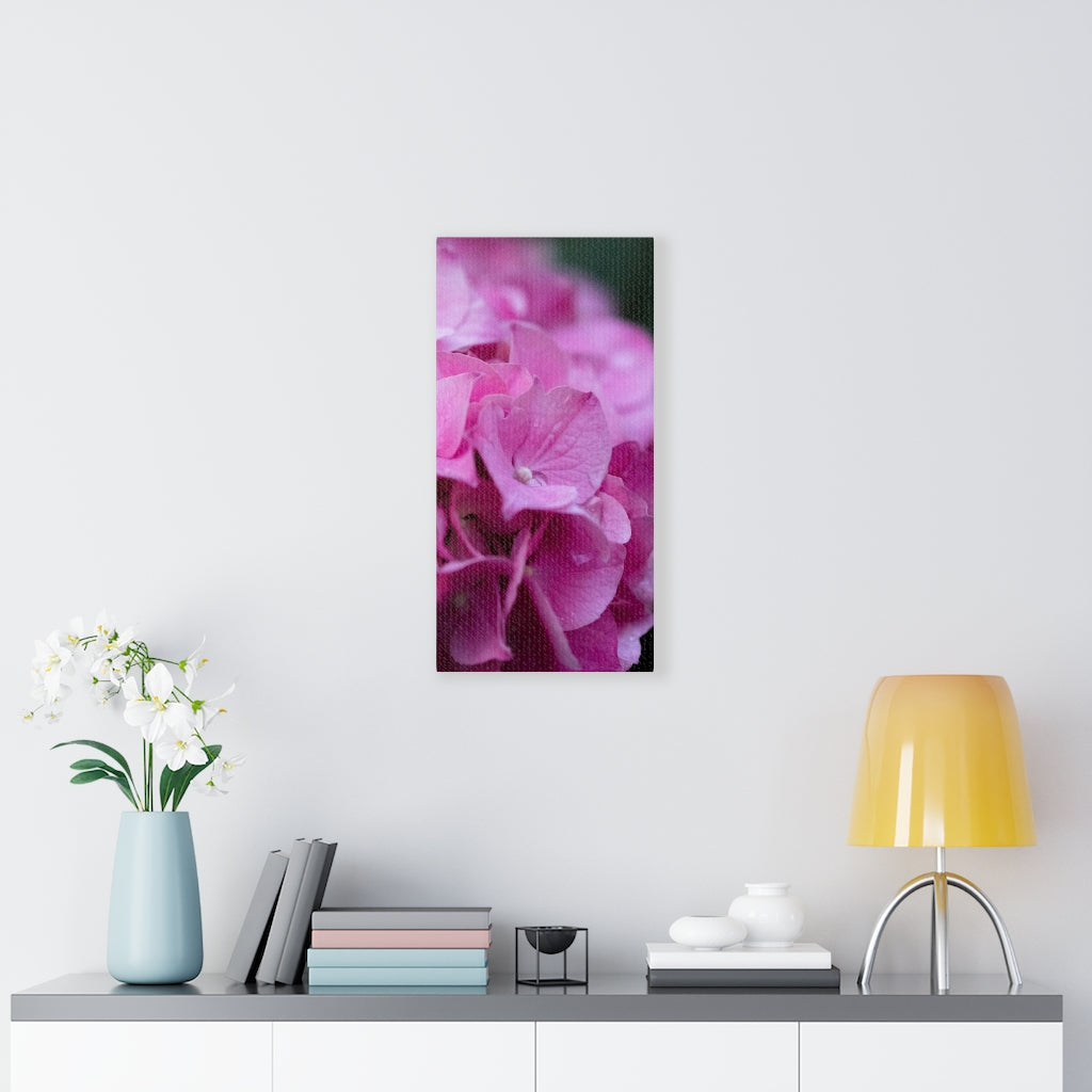 Pink Hydrangea Detail - Canvas