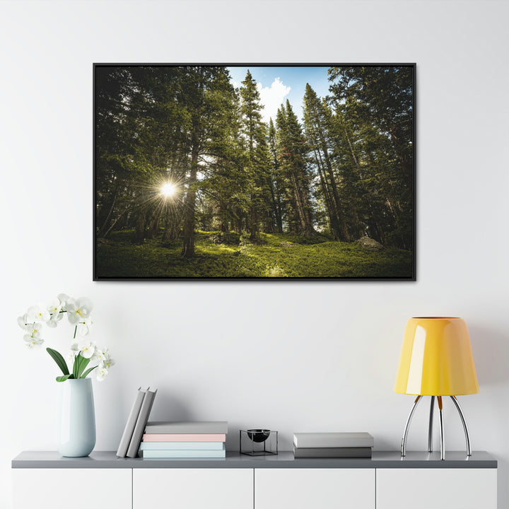 Forest Light - Canvas with Frame