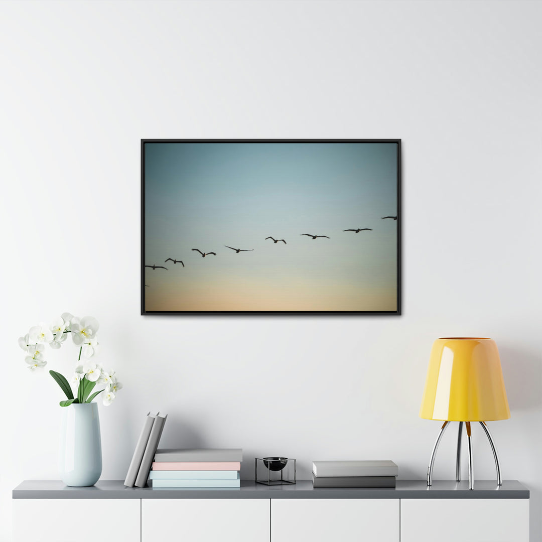 Brown Pelicans in Flight - Canvas with Frame