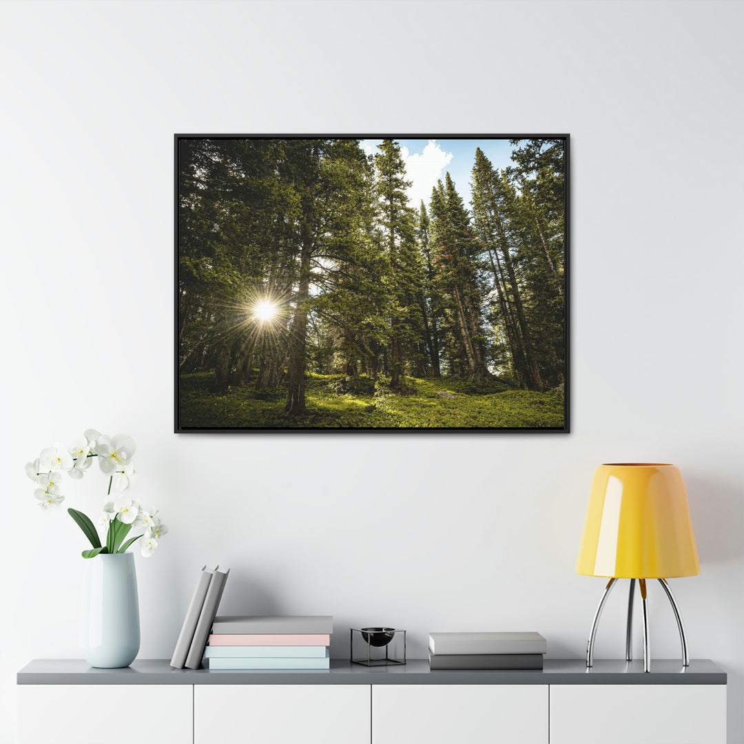 Forest Light - Canvas with Frame