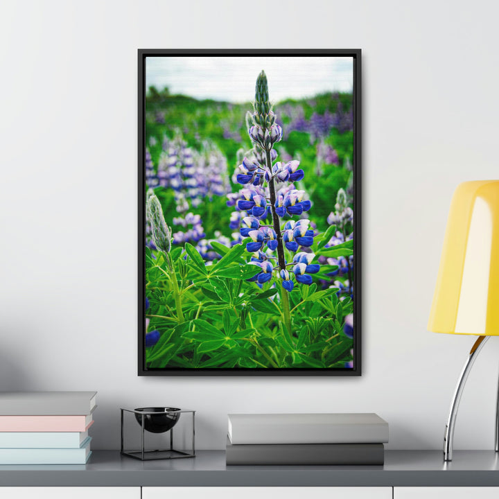 Glowing Lupin - Canvas with Frame