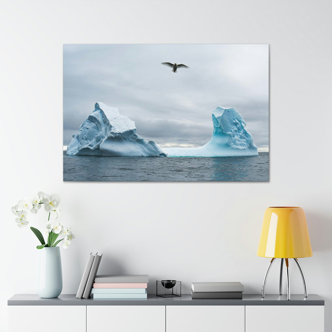 Antarctic Flight - Canvas