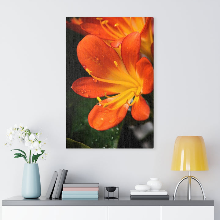 Bright Bush Lily - Canvas