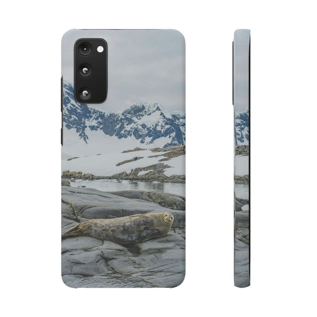 Weddell Relaxing - Phone Case