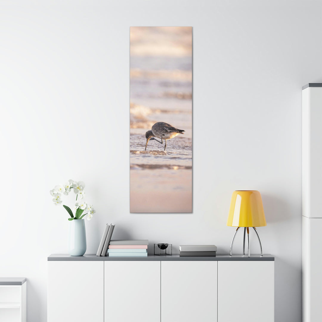 Willet Itch - Canvas