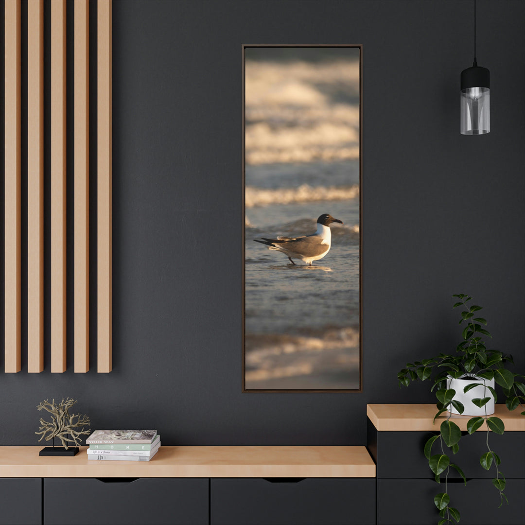 Laughing Gull in the Surf - Canvas with Frame