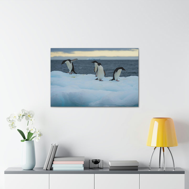 Penguin Dance - Canvas