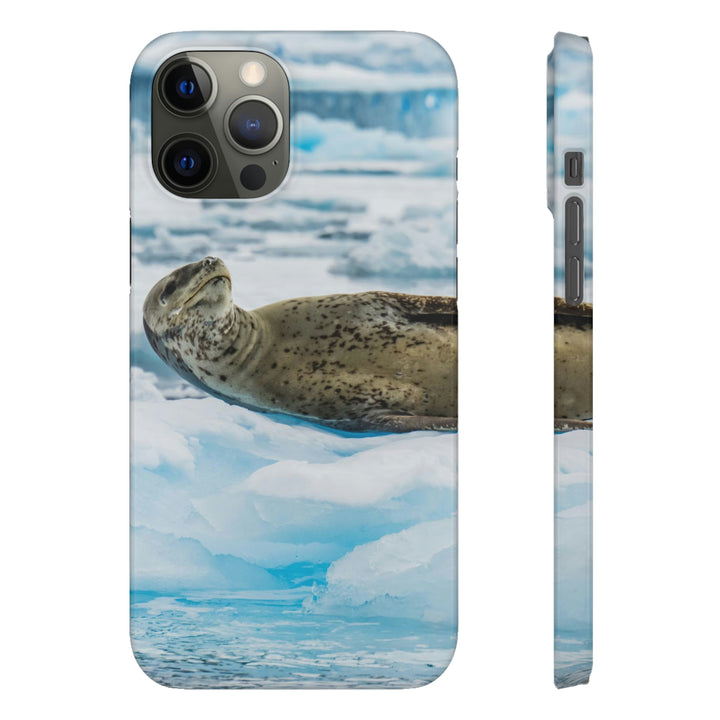 Leopard Seal Relaxing - Phone Case