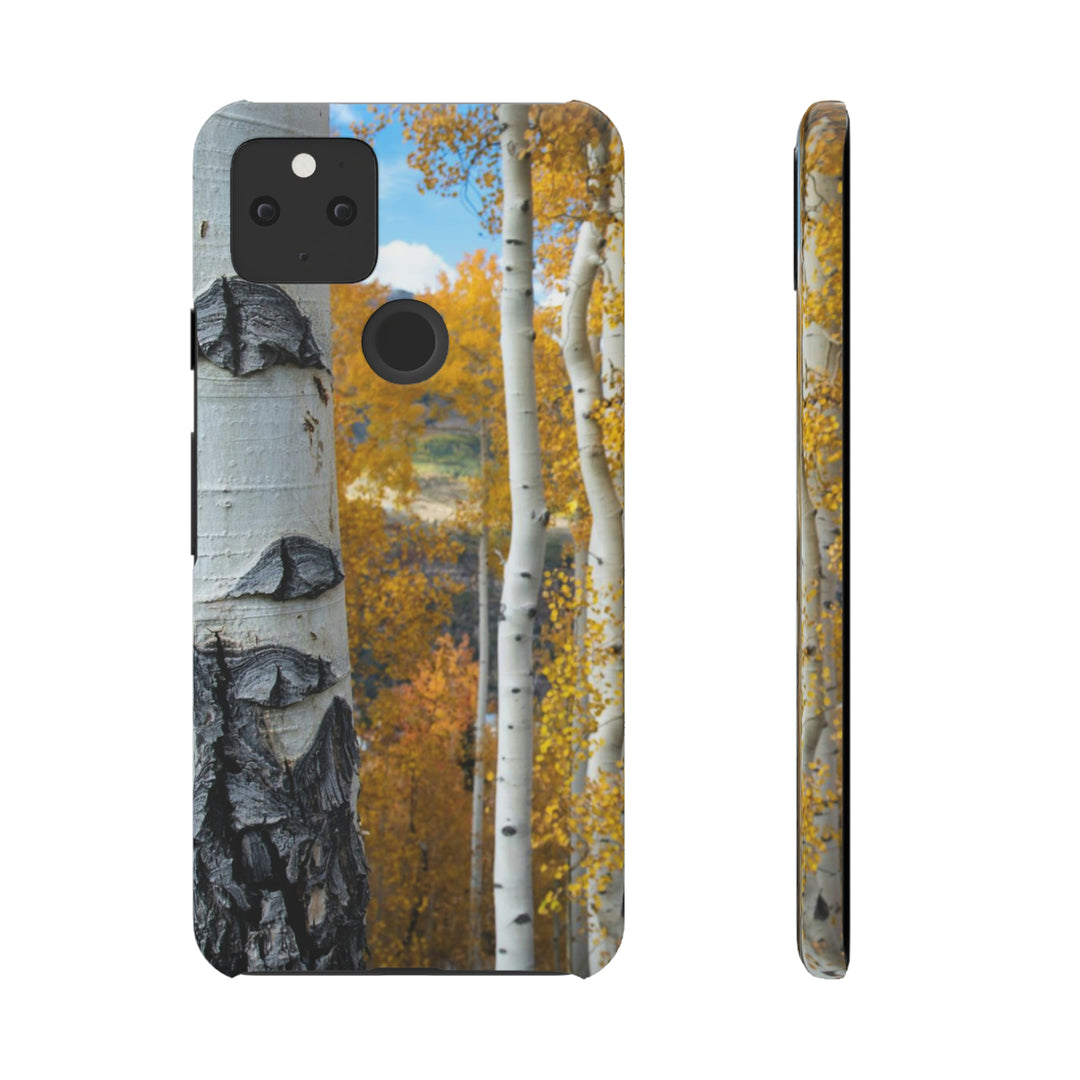 Aspens Changing - Phone Case