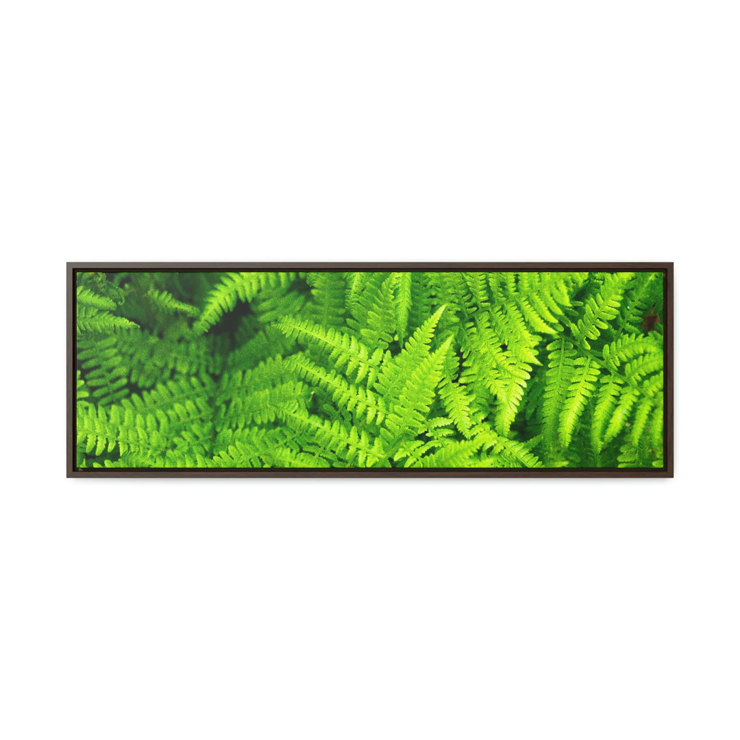 Ferns, Ferns, Ferns - Canvas with Frame