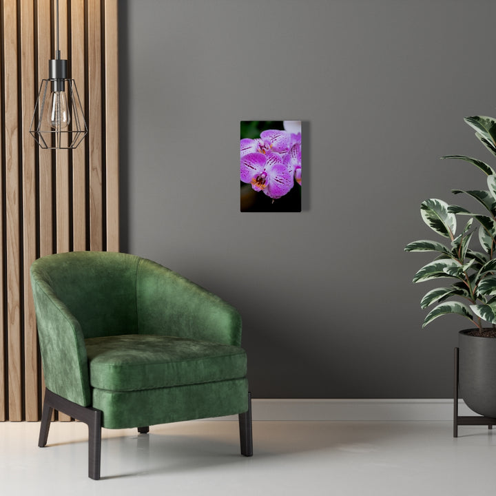 Orchid in Pink - Canvas