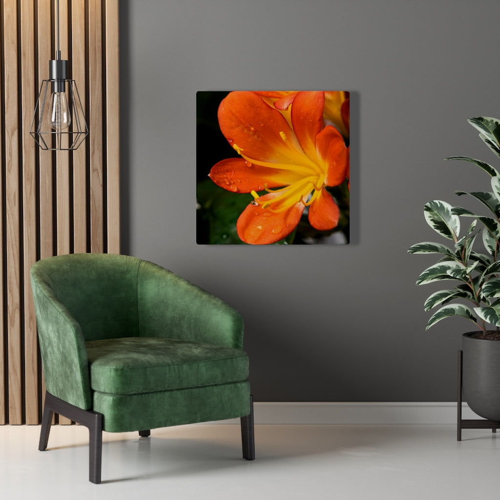 Bright Bush Lily - Canvas