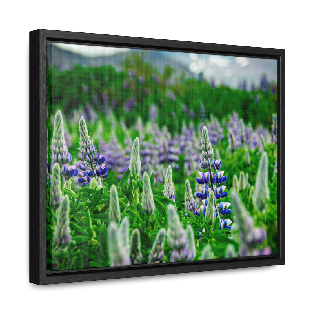 Glowing Lupin with Mountains - Canvas with Frame