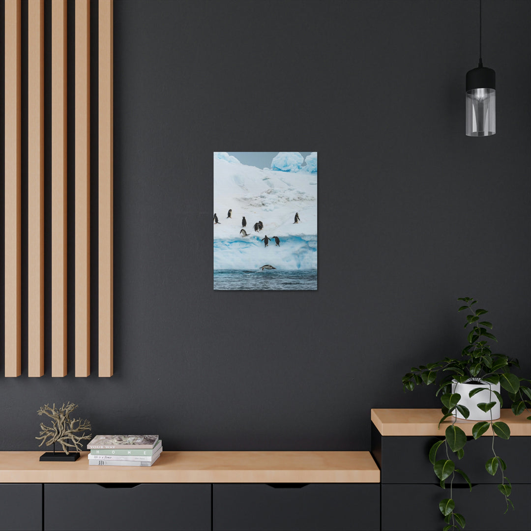 Porpoising Penguin - Canvas