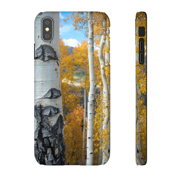 Aspens Changing - Phone Case