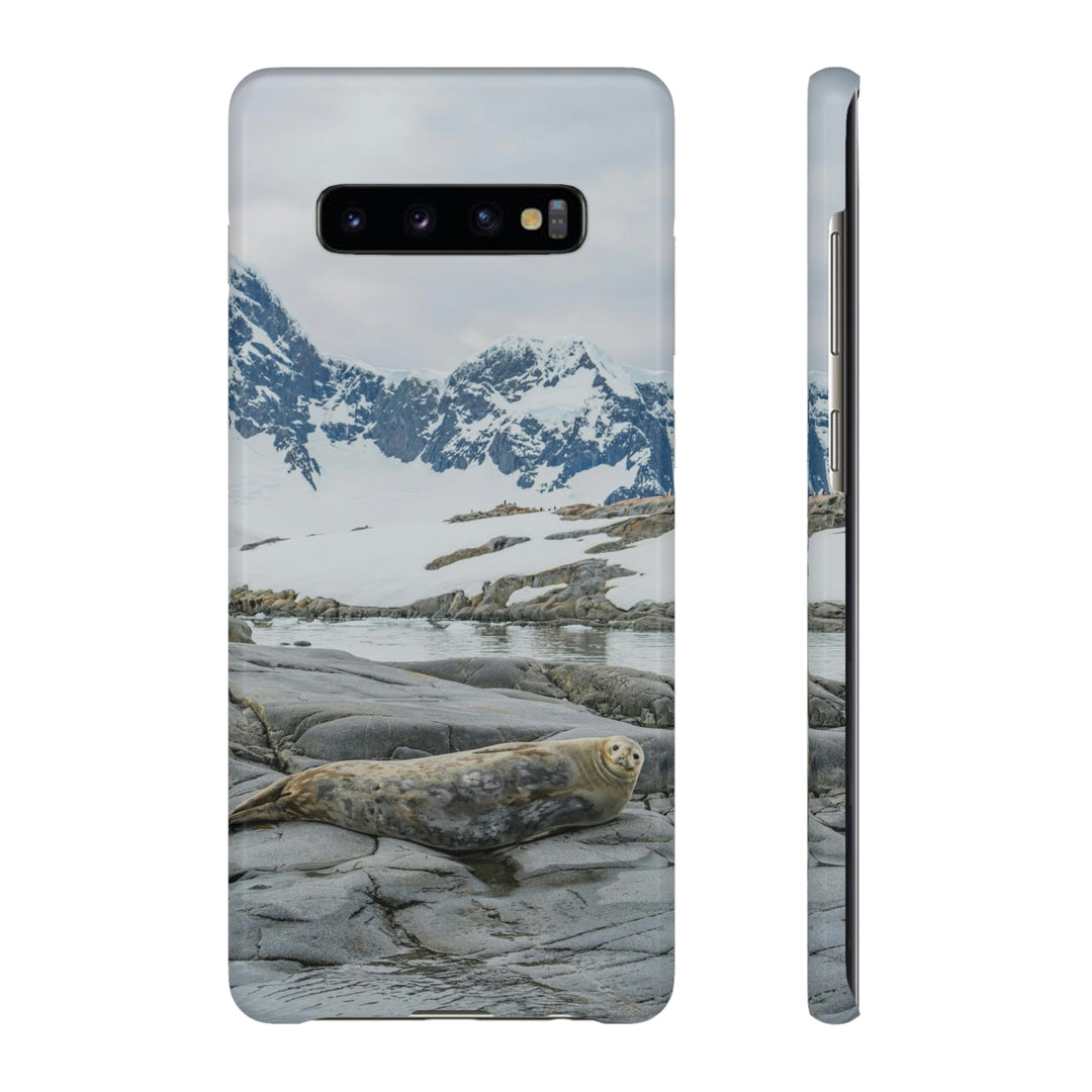 Weddell Relaxing - Phone Case