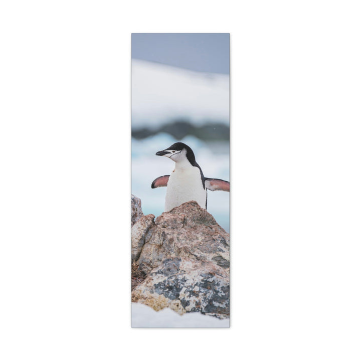 Stretched Penguin - Canvas