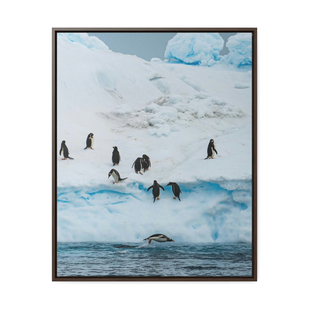 Porpoising Penguin - Canvas with Frame